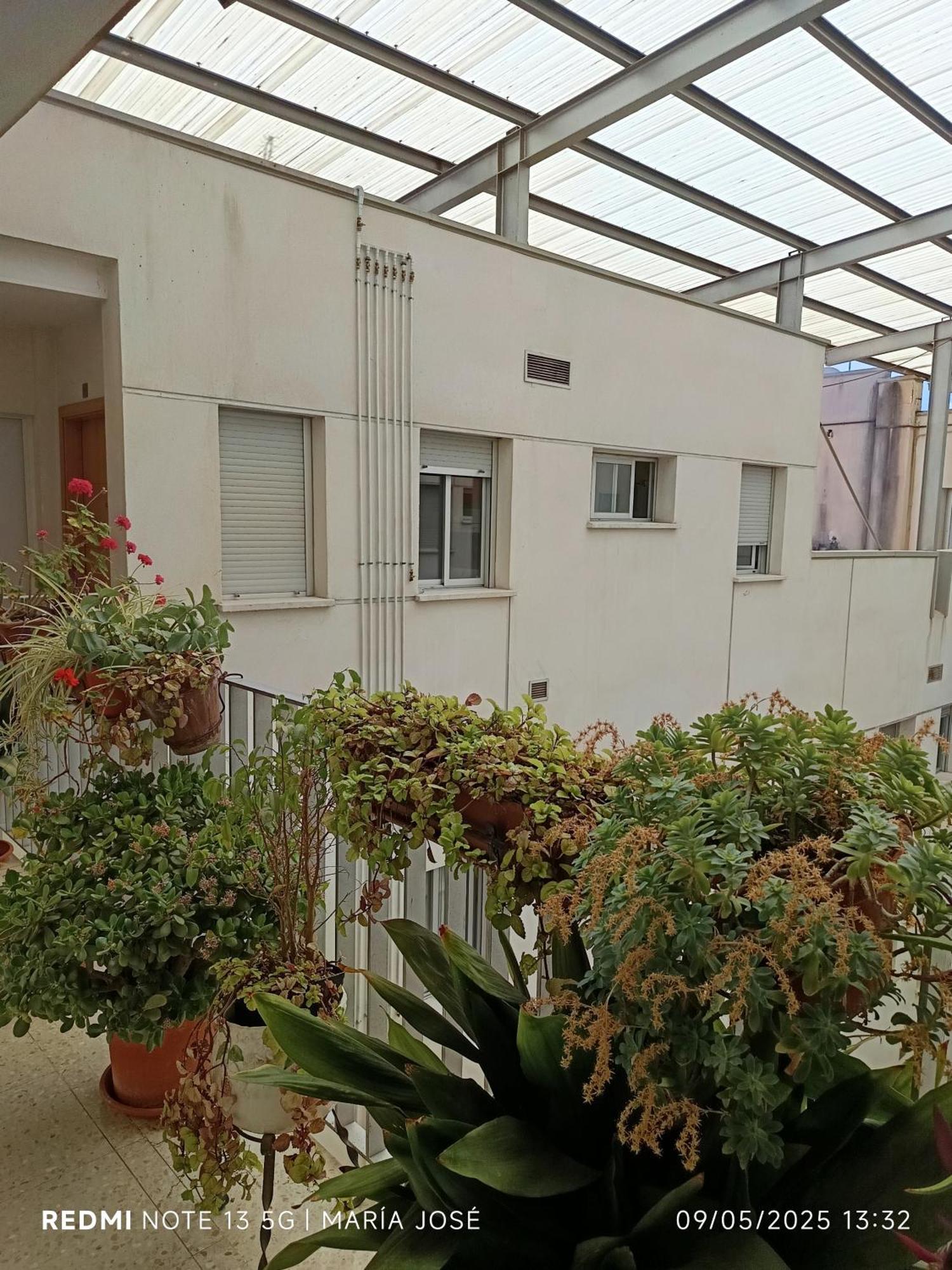 Disfruta Granada,Incluso Con Tu Mascota Parking Apartment Exterior foto